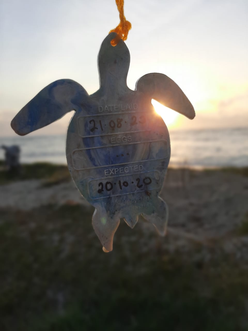 Turtle Nest Tags from Recycle Beach Plastic